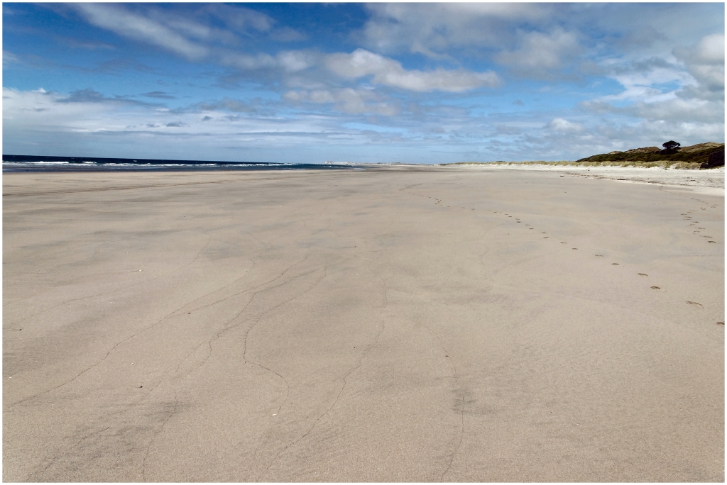 11 - Cape Farewell (06).jpg